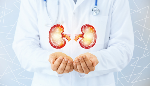 A Guide to the Best Kidney Transplant Hospital in Bangalore