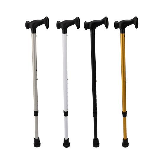 walking stick